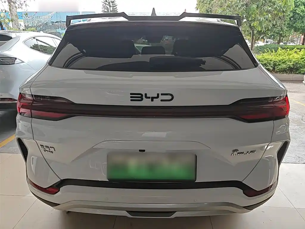 BYD PLUS New Energy 2025 — фото 6