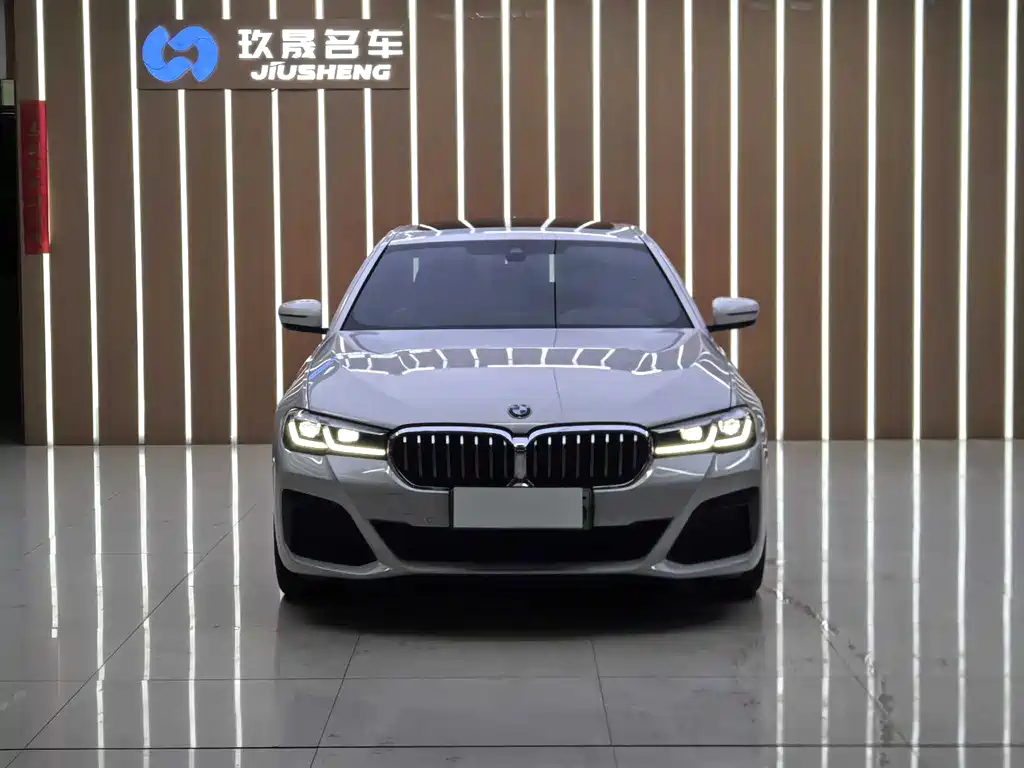 BMW 5 Series New Energy 2021 — фото 2