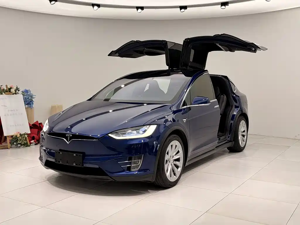 Tesla Model X 2018 — фото 1
