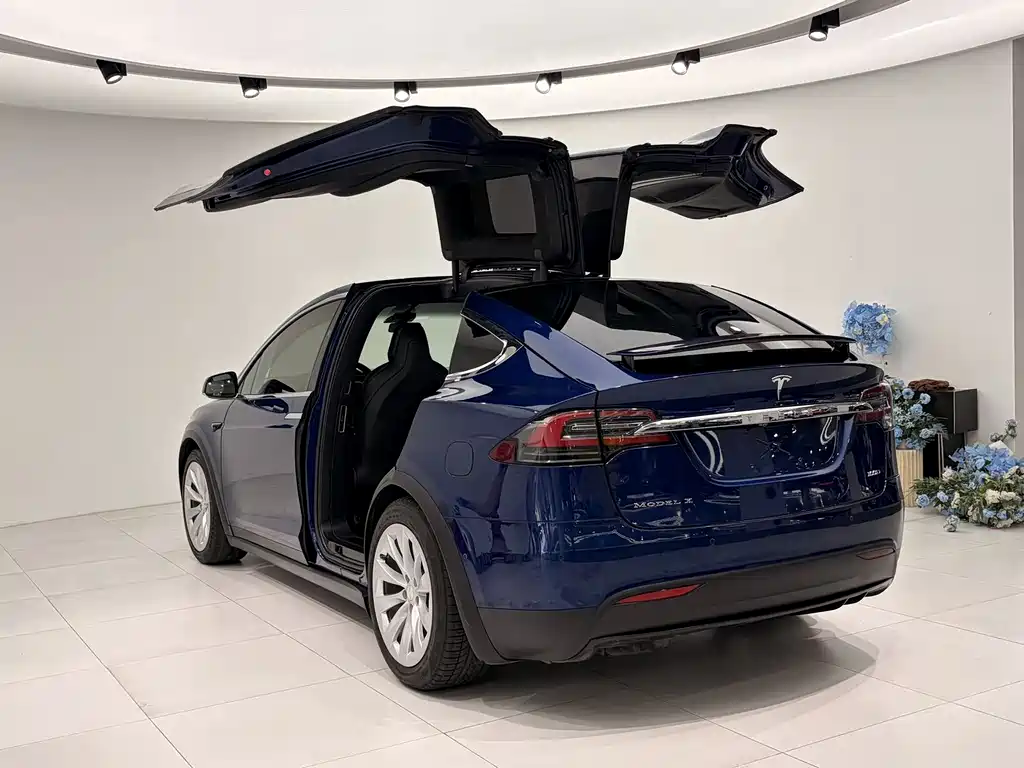 Tesla Model X 2018 — фото 5