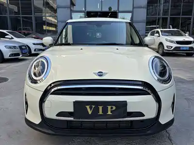 MINI MINI 2022