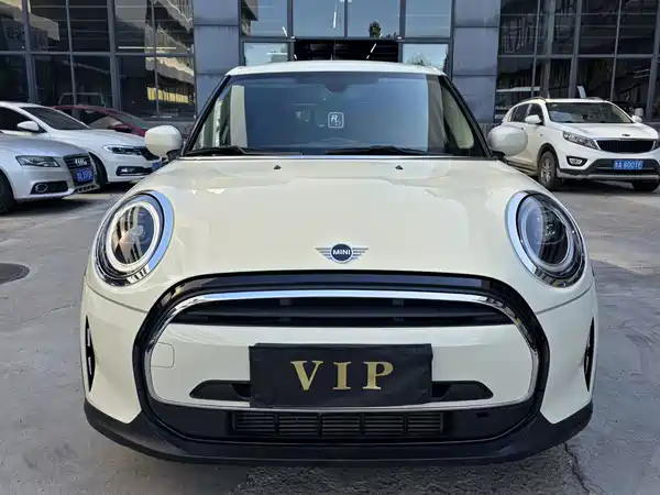 MINI MINI 2022