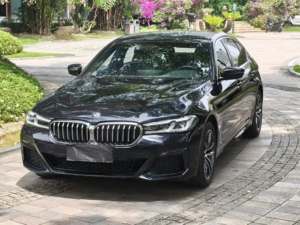 BMW 5 Series 2021