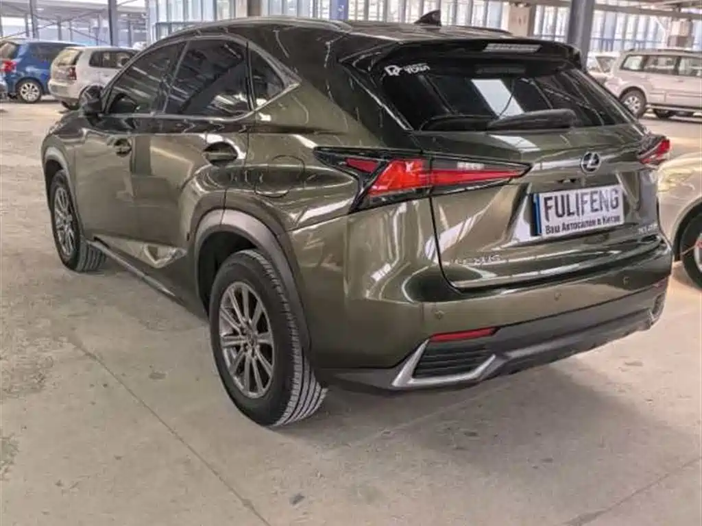 Lexus NX 2020 — фото 6