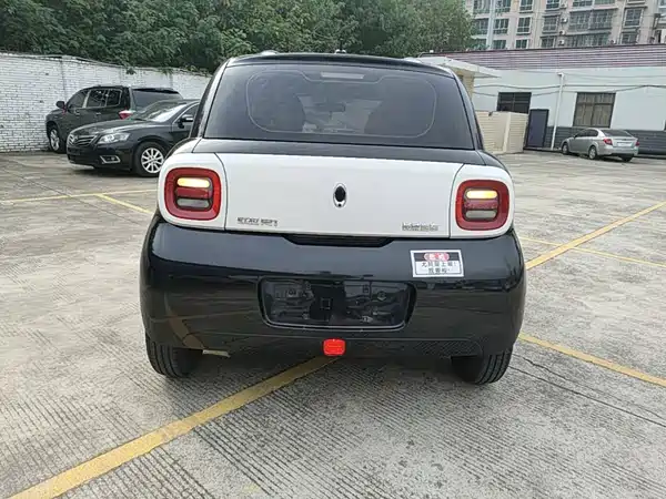 Ora Black Cat 2020