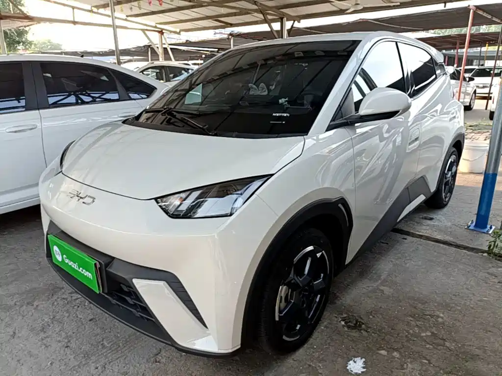 BYD Seagull 2024