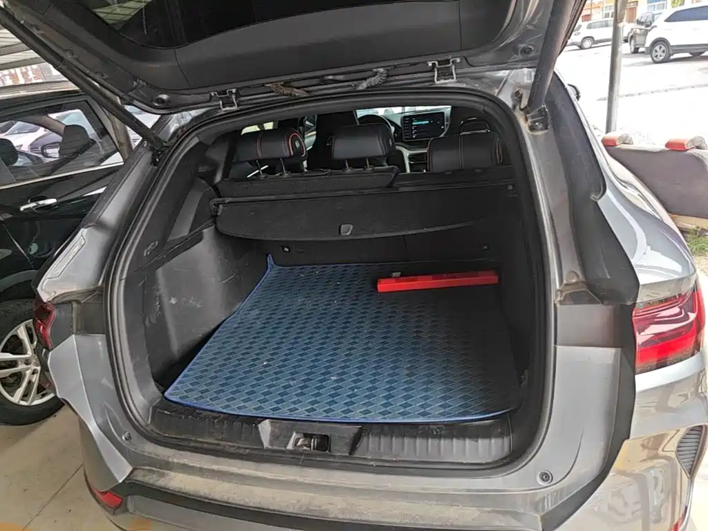 BYD Song PLUS New Energy 2023 — фото 19