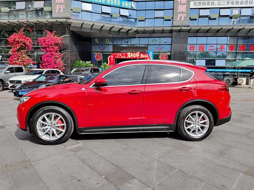 Alfa Romeo Stelvio 2019 — фото 3
