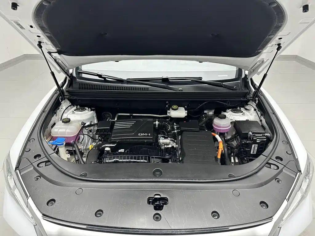 BYD Pro New Energy 2024 — фото 18