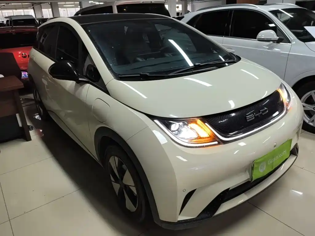 BYD Dolphin 2024