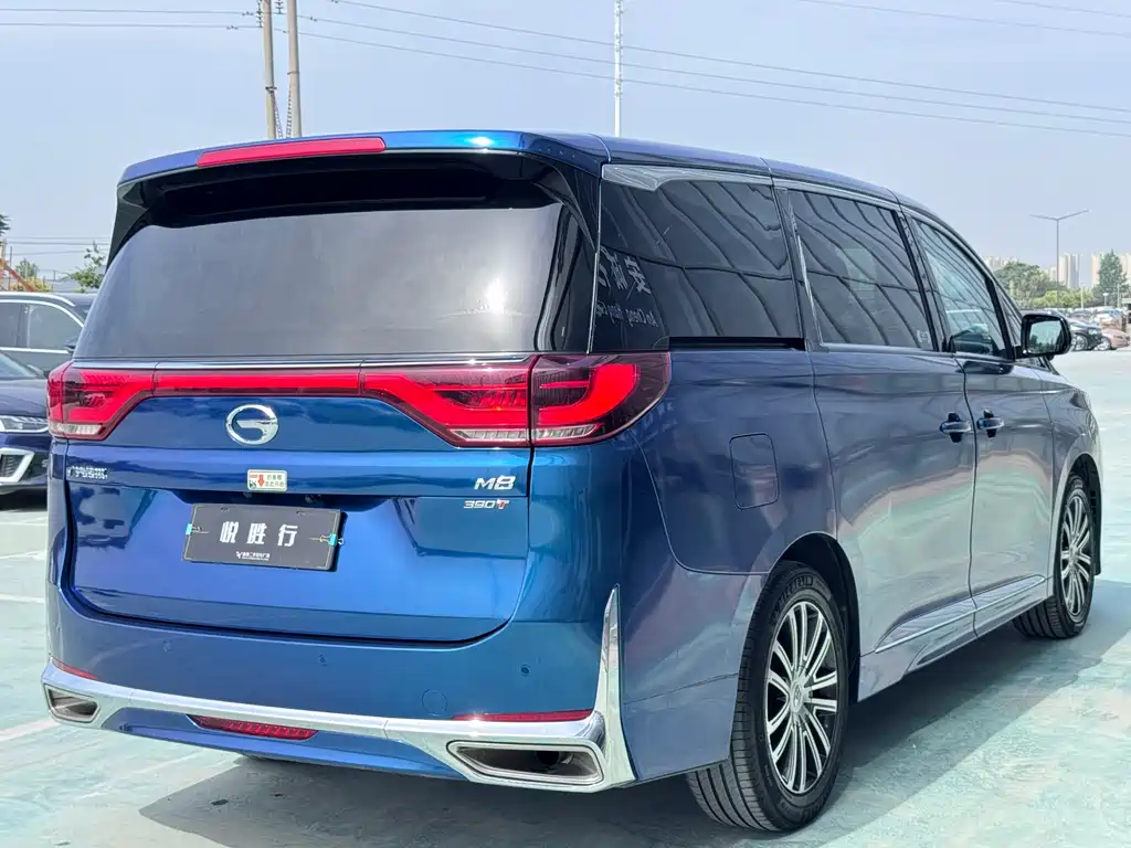 GAC Motor Trumpchi M8 2021 — фото 7