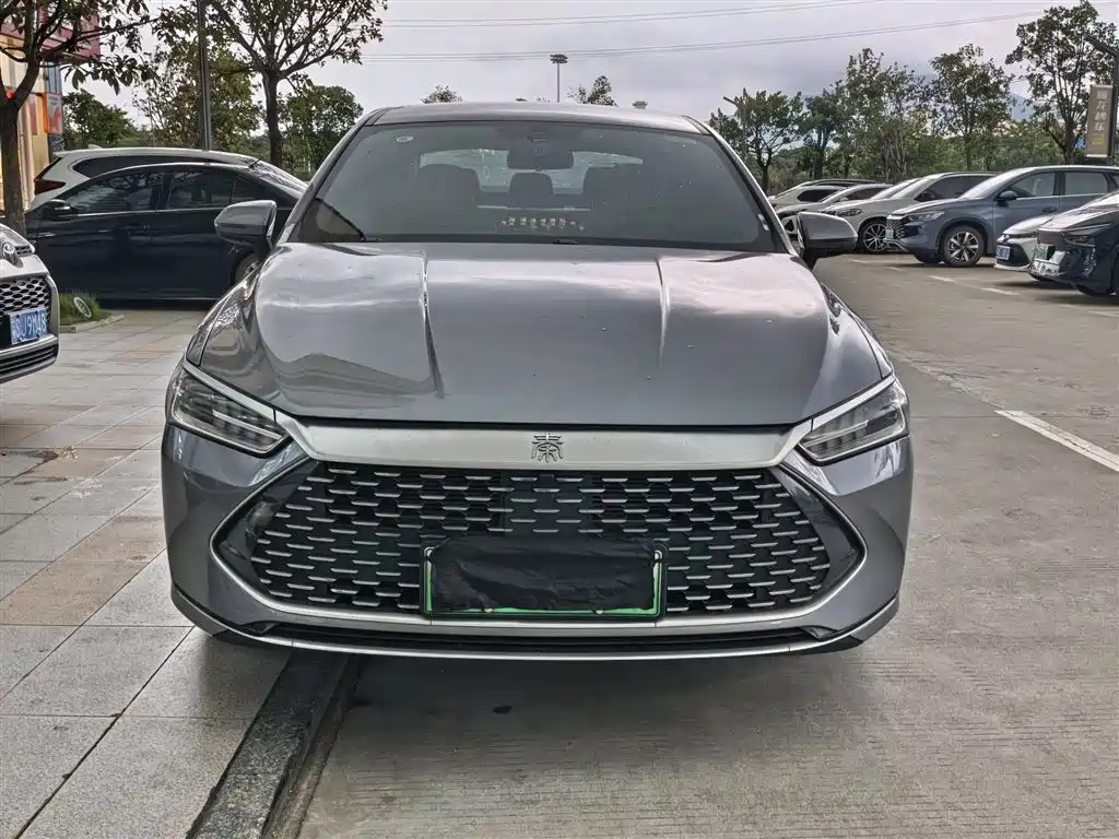 BYD Qin PLUS 2024 — фото 2