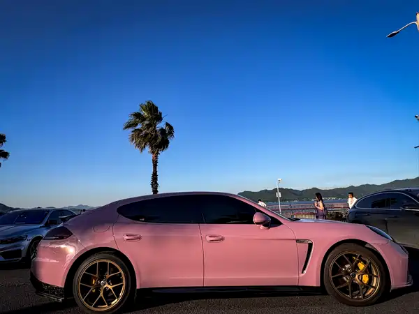 Porsche Panamera 2010