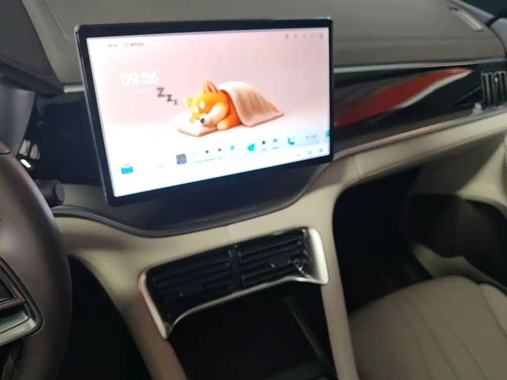 BYD PLUS New Energy 2024 — фото 13