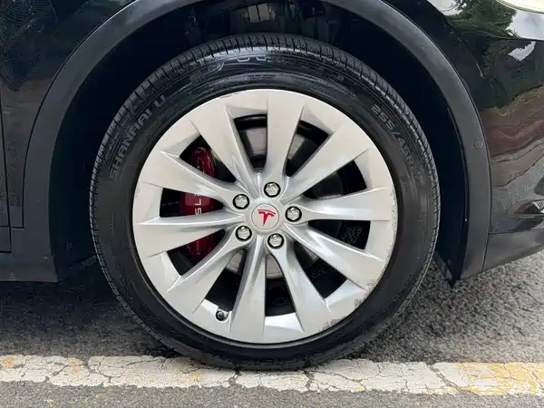 Tesla Model X 2019