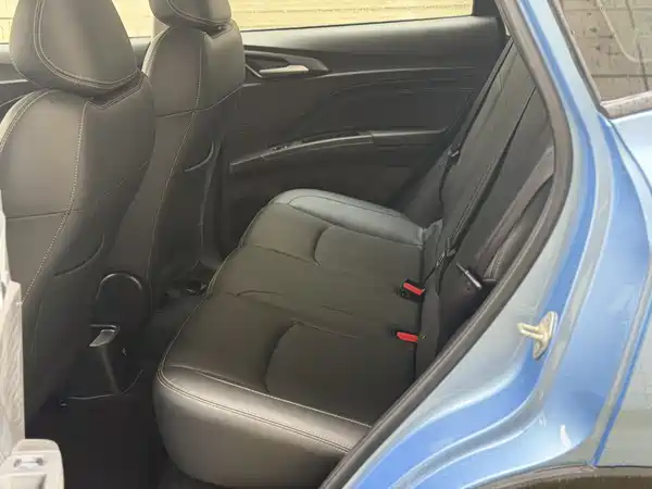 Neta V 2021