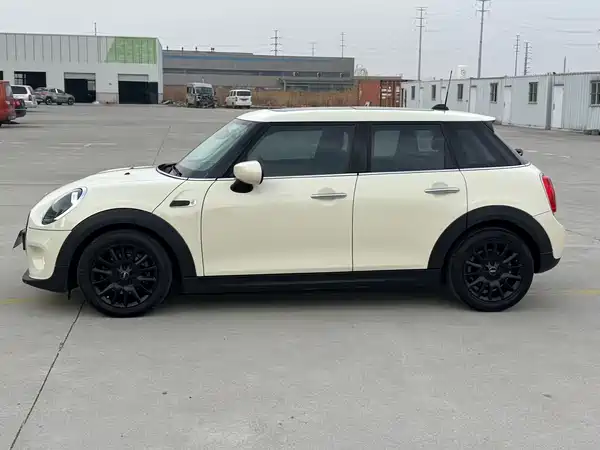MINI MINI 2020