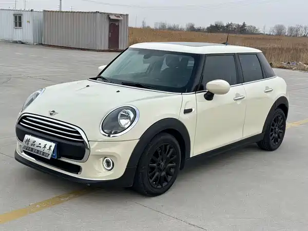 MINI MINI 2020