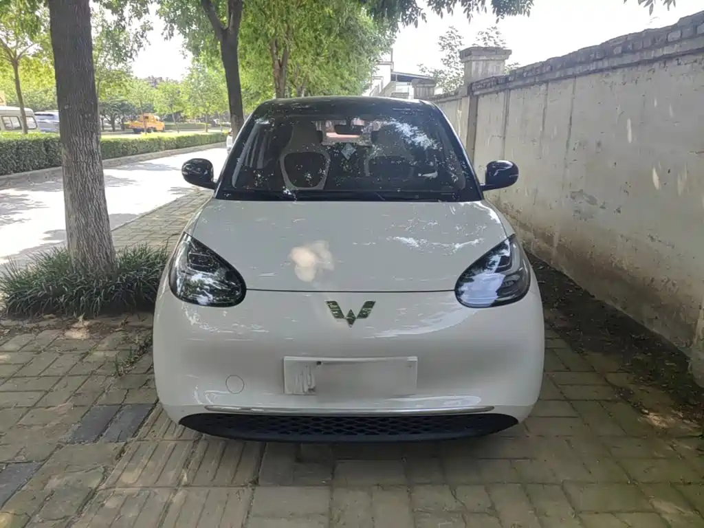 Wuling Bingo 2024