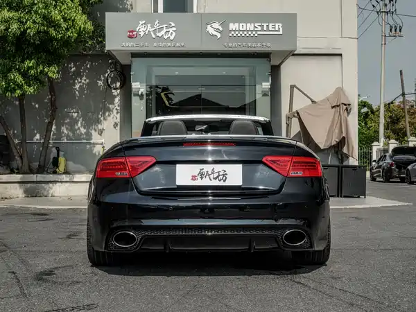 Audi S5 2010