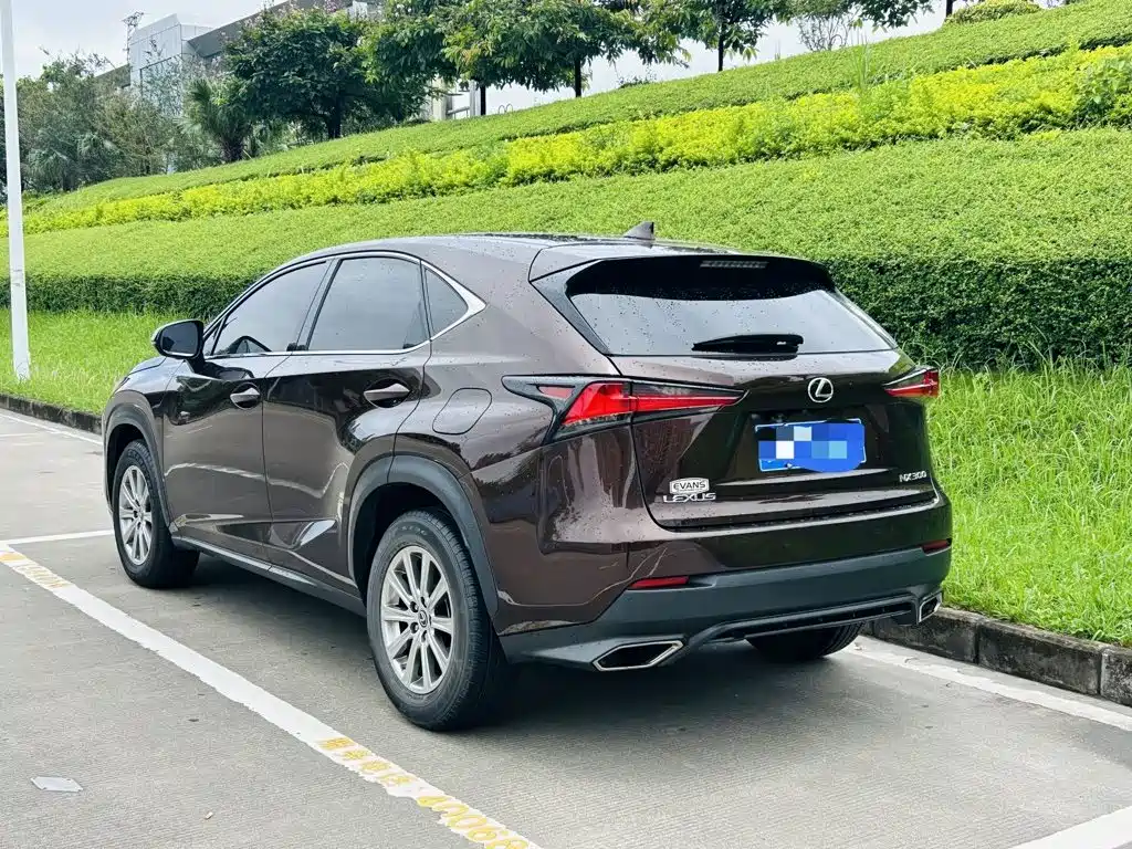 Lexus NX 2018