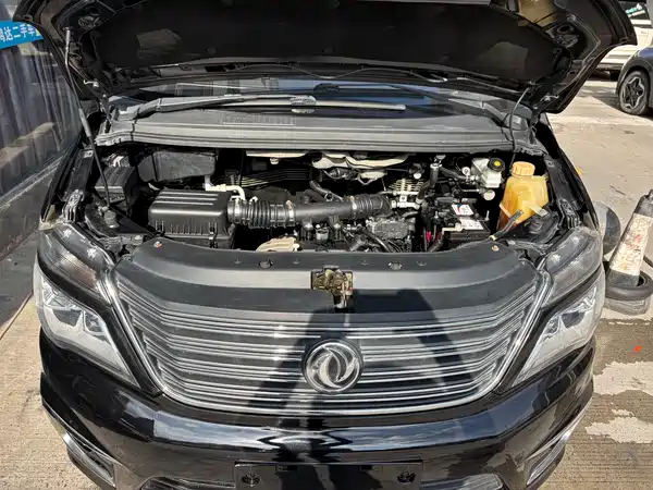 Dongfeng Lingzhi 2019