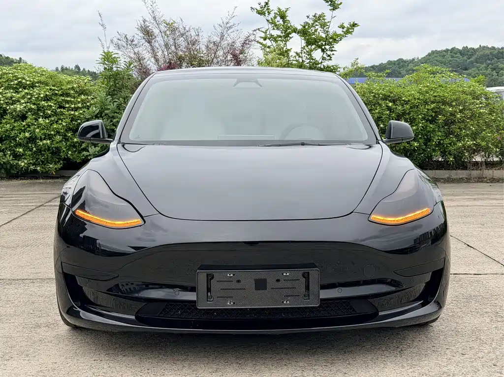 Tesla Model 3 2021 — фото 3