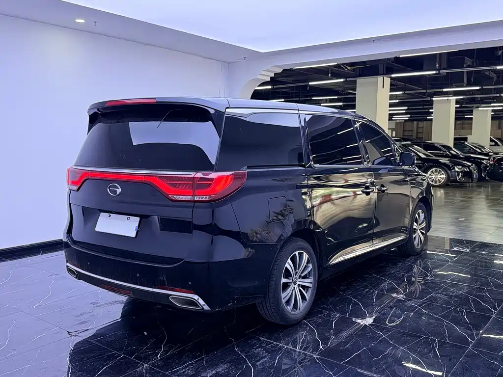 GAC Trumpchi M8 2019 — фото 20
