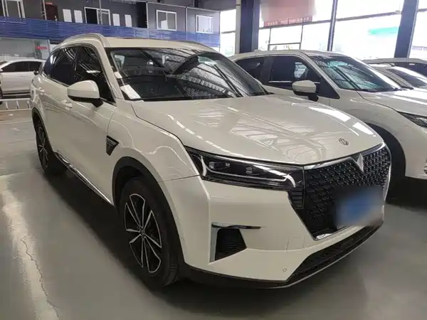 Venucia Star 2020