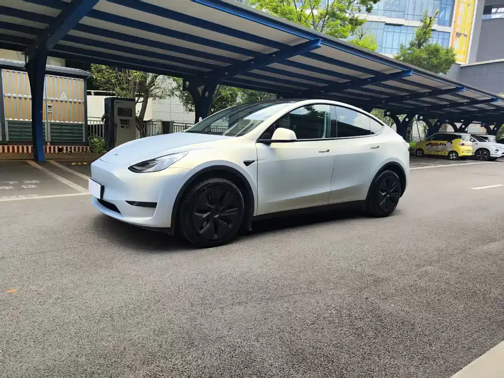 Tesla Model Y 2024 — фото 1
