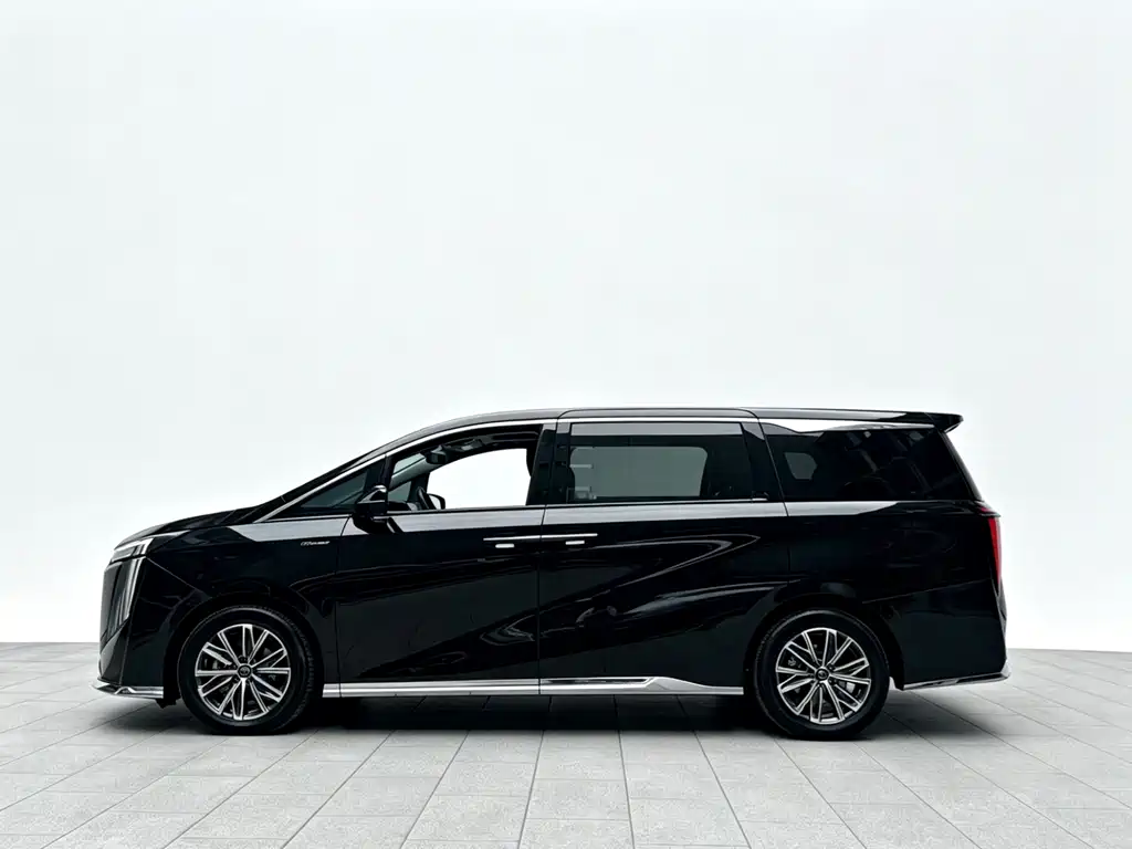 GAC Motor Trumpchi M8 2024 — фото 12