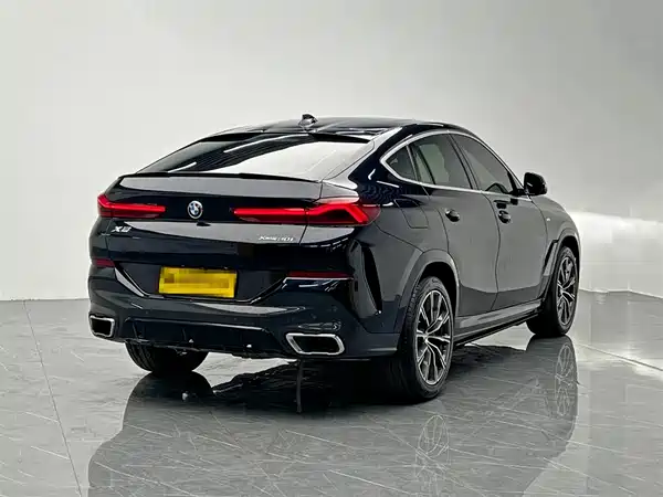 BMW X6 2021
