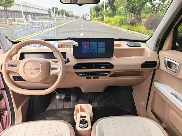 Geely Galaxy Panda 2024