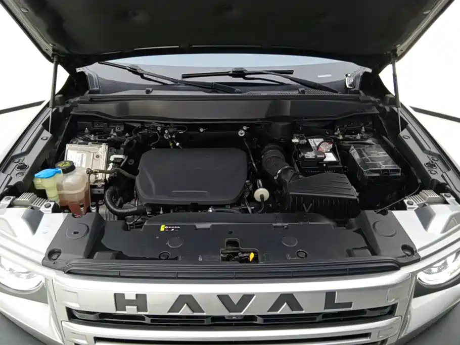 Haval Big Dog 2023 — фото 10