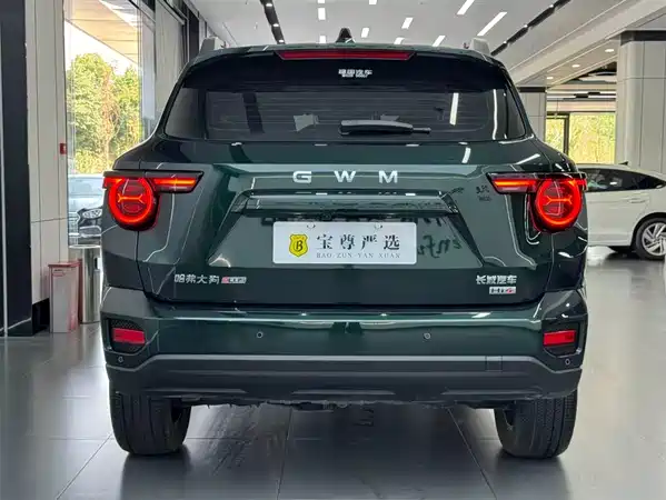 Haval Big Dog PLUS New Energy 2025