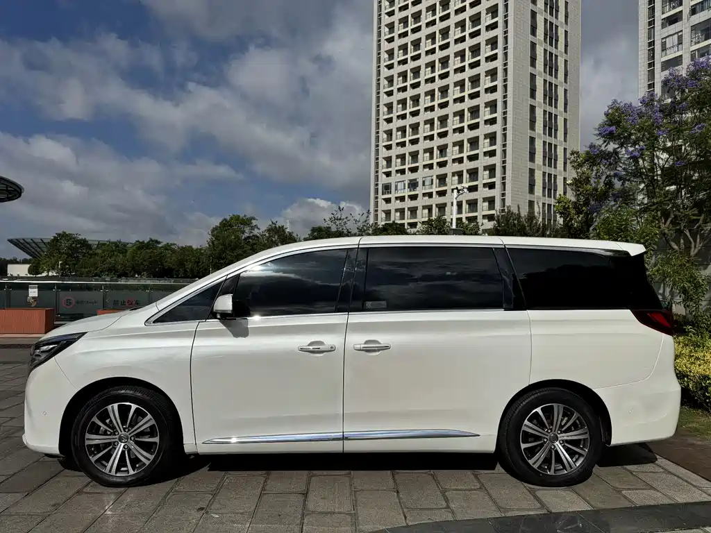 GAC Motor Trumpchi M8 2018 — фото 7