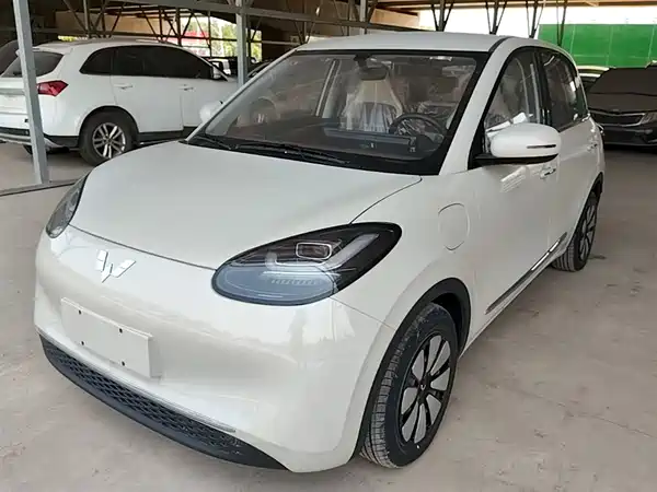 Wuling Bingo 2024