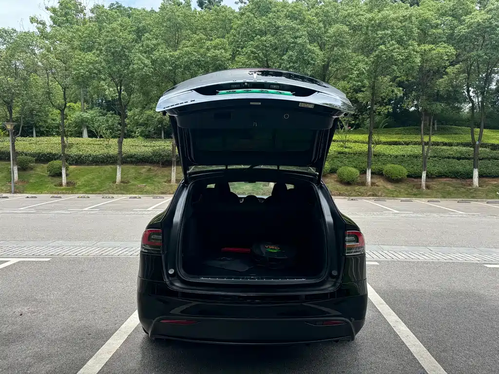 Tesla Model X 2019 — фото 7