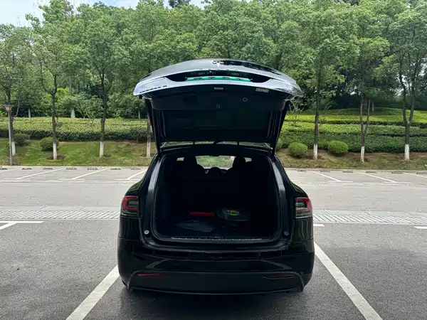 Tesla Model X 2019