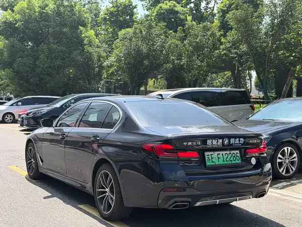BMW 5 Series New Energy 2021