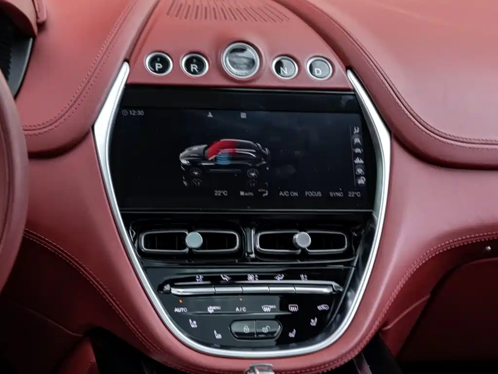 Aston Martin DBX 2022 — фото 14