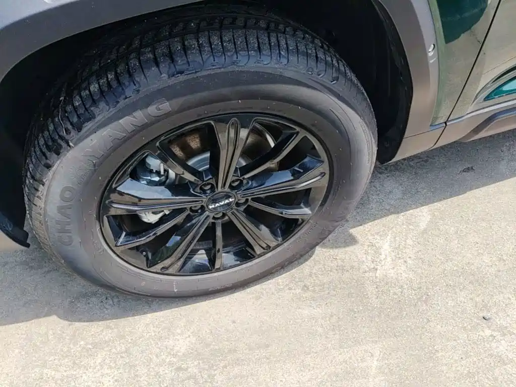 Haval Raptor 2025 — фото 23