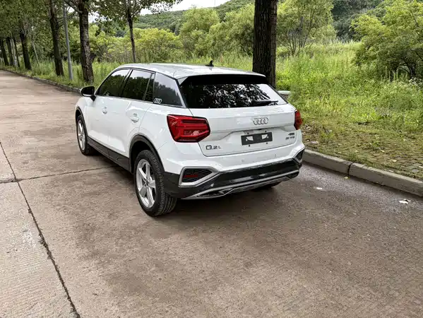 Audi Q2L 2022