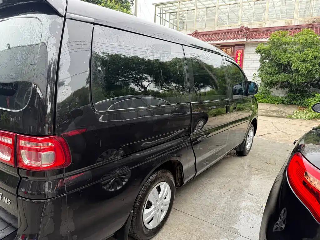 Dongfeng Lingzhi 2018