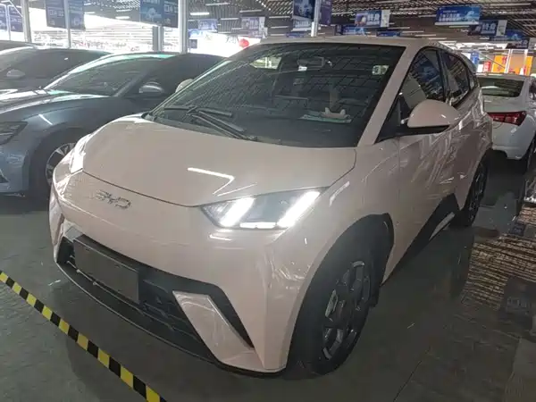 BYD Seagull 2025