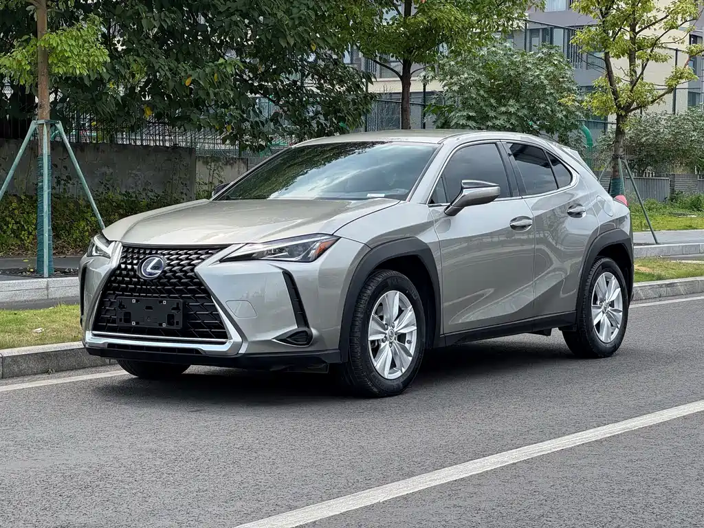 Lexus UX 2020 — фото 1