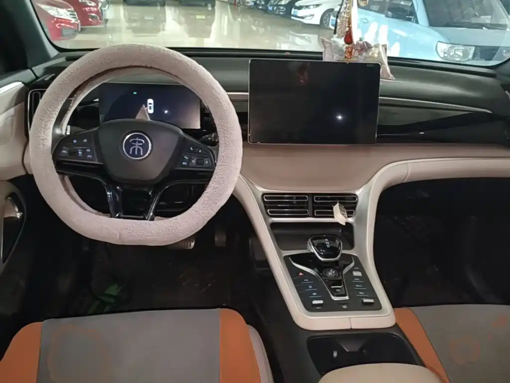 BYD Song Pro New Energy 2024 — фото 10