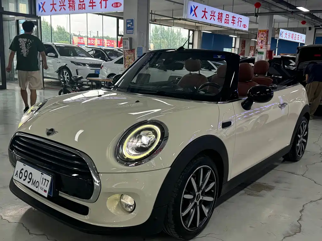 MINI MINI 2019