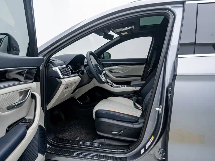 BYD Song PLUS New Energy 2024 — фото 10