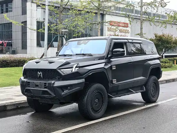 Mengshi 917 2023